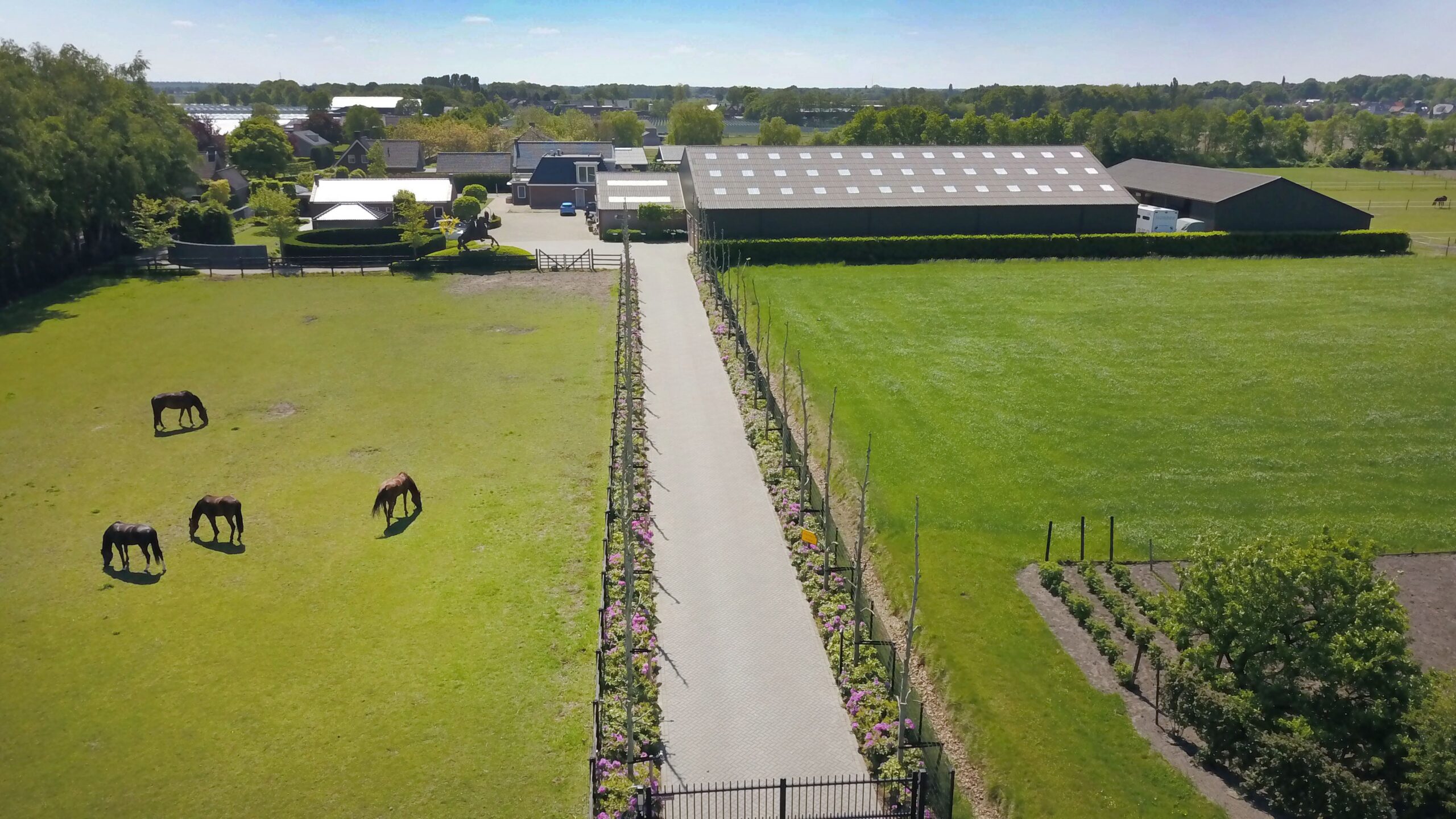 Pand en Paard lucht